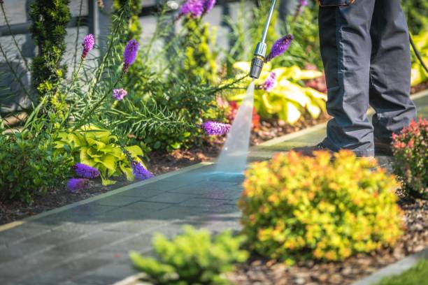 Best Gutter Cleaning  in Beaufort, SC